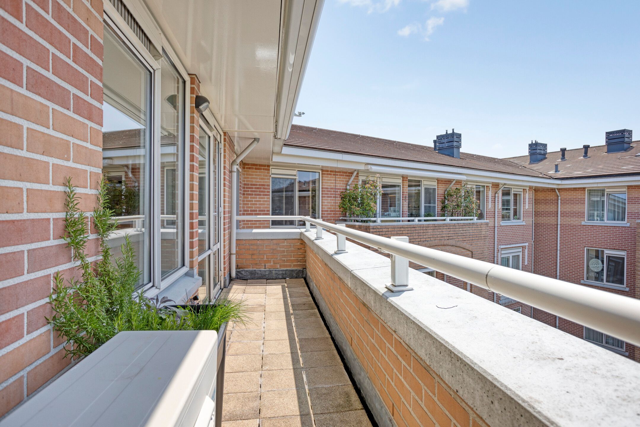 Foto 24 van de Hofnar 54