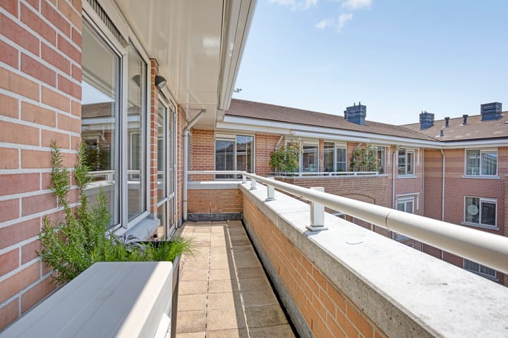 Foto 24 van de Hofnar 54