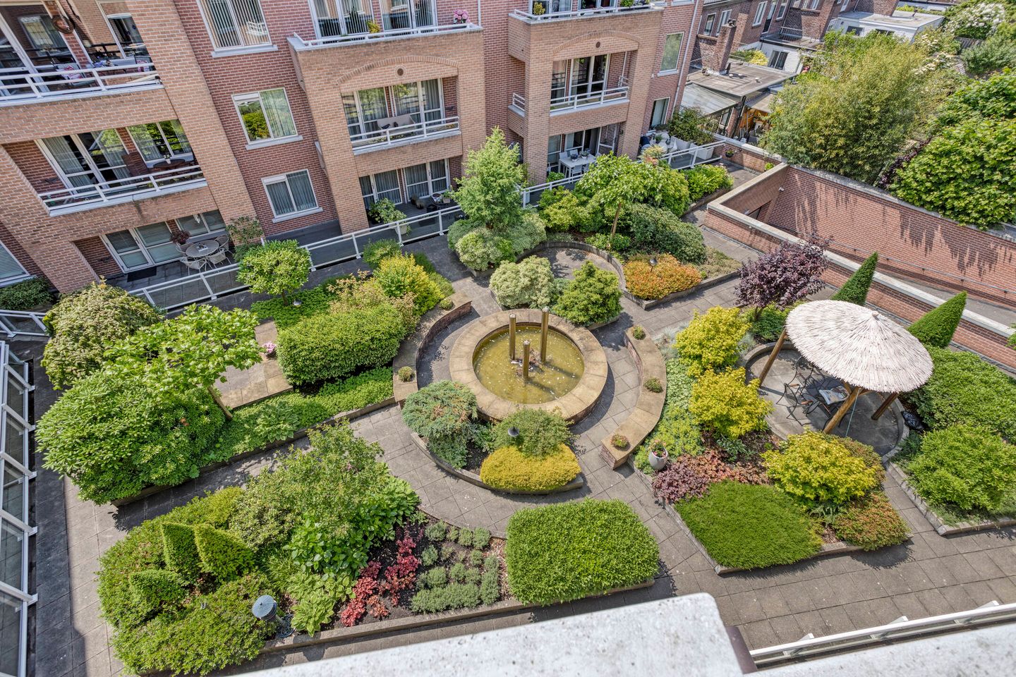 Foto 25 van de Hofnar 54