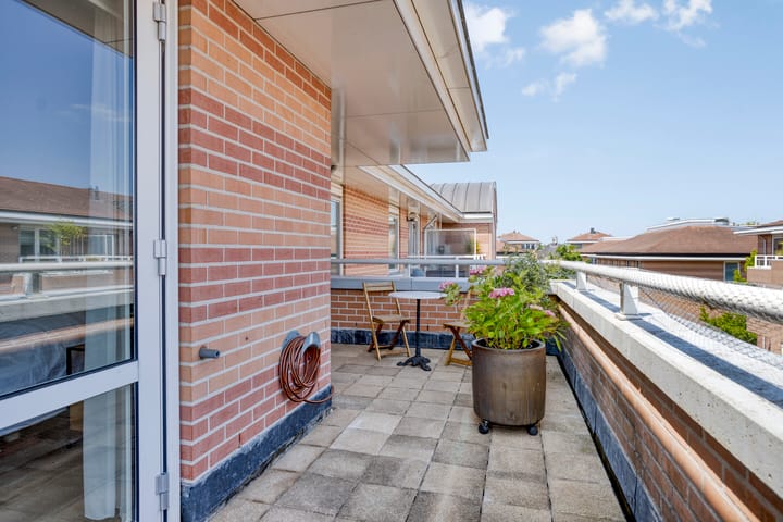 Foto 26 van de Hofnar 54