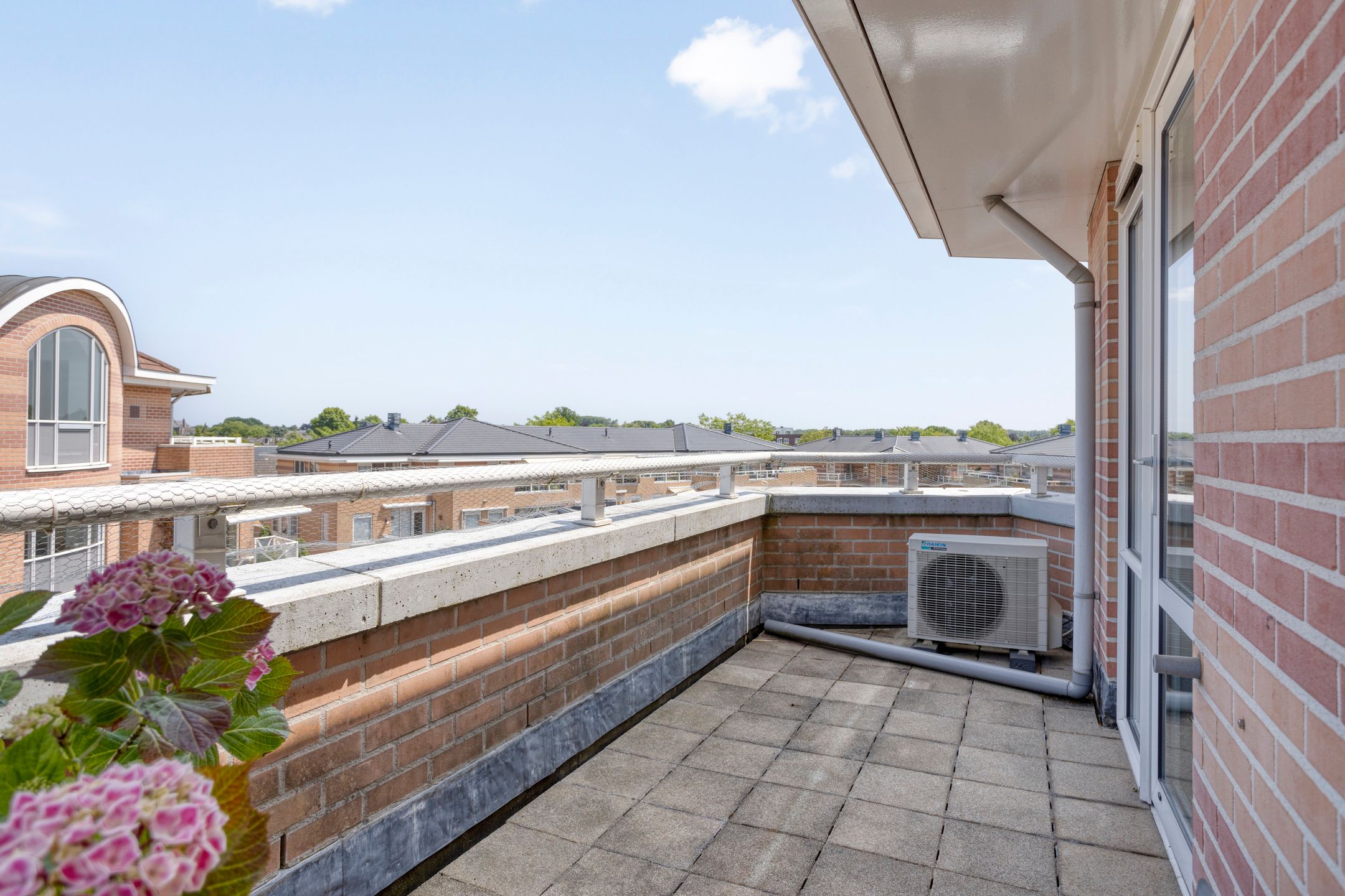 Foto 27 van de Hofnar 54