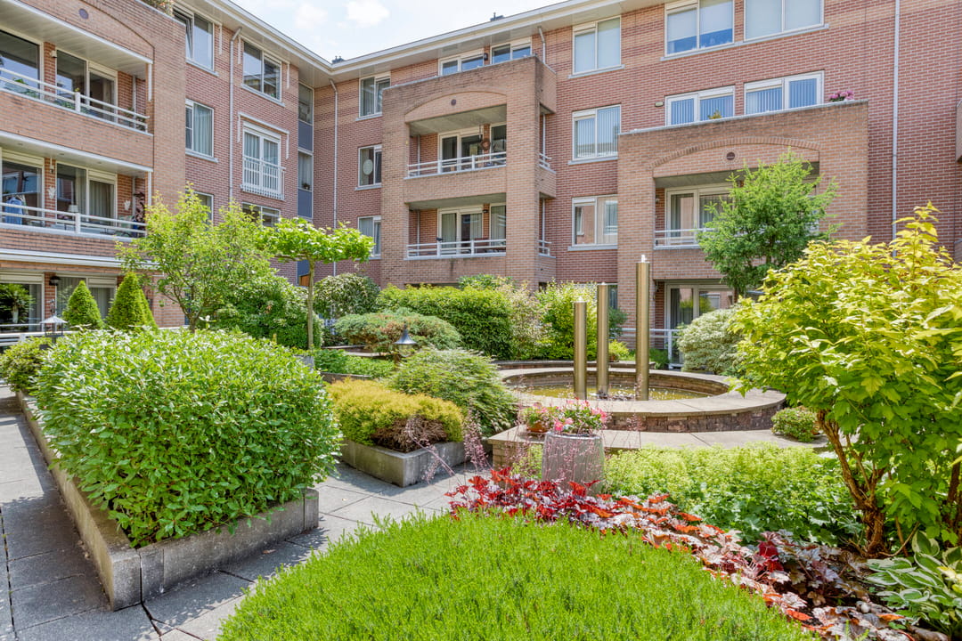 Foto 31 van de Hofnar 54