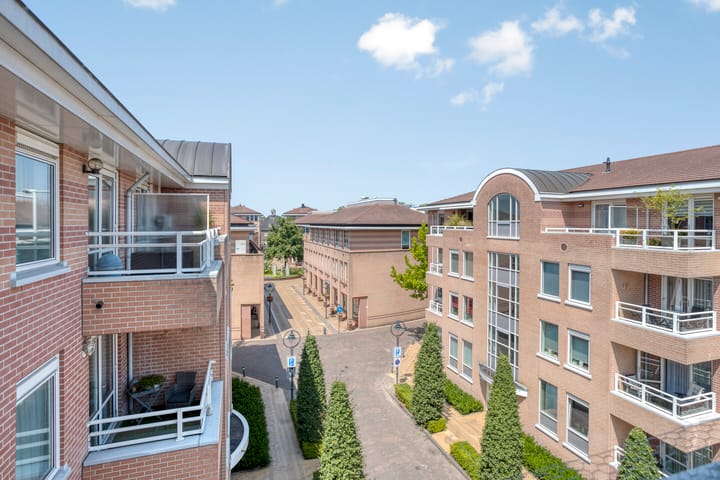 Foto 30 van de Hofnar 54