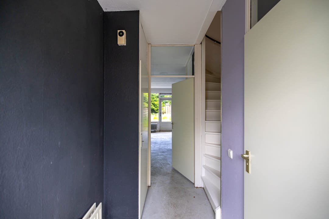 Photo 8 of Schieland 61