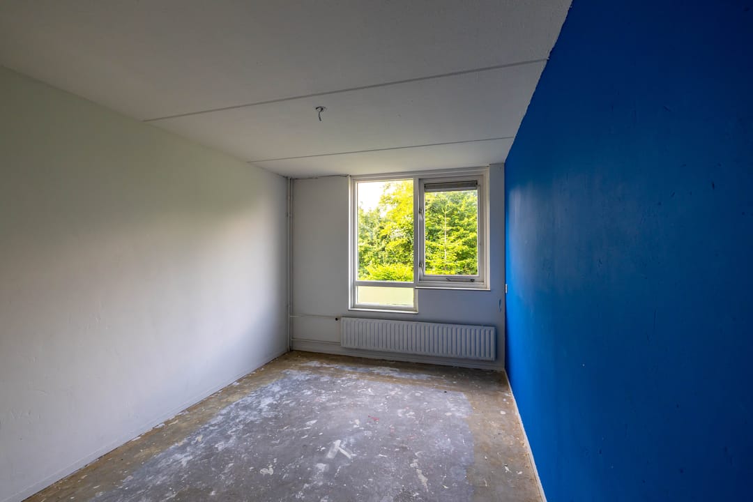 Photo 17 of Schieland 61