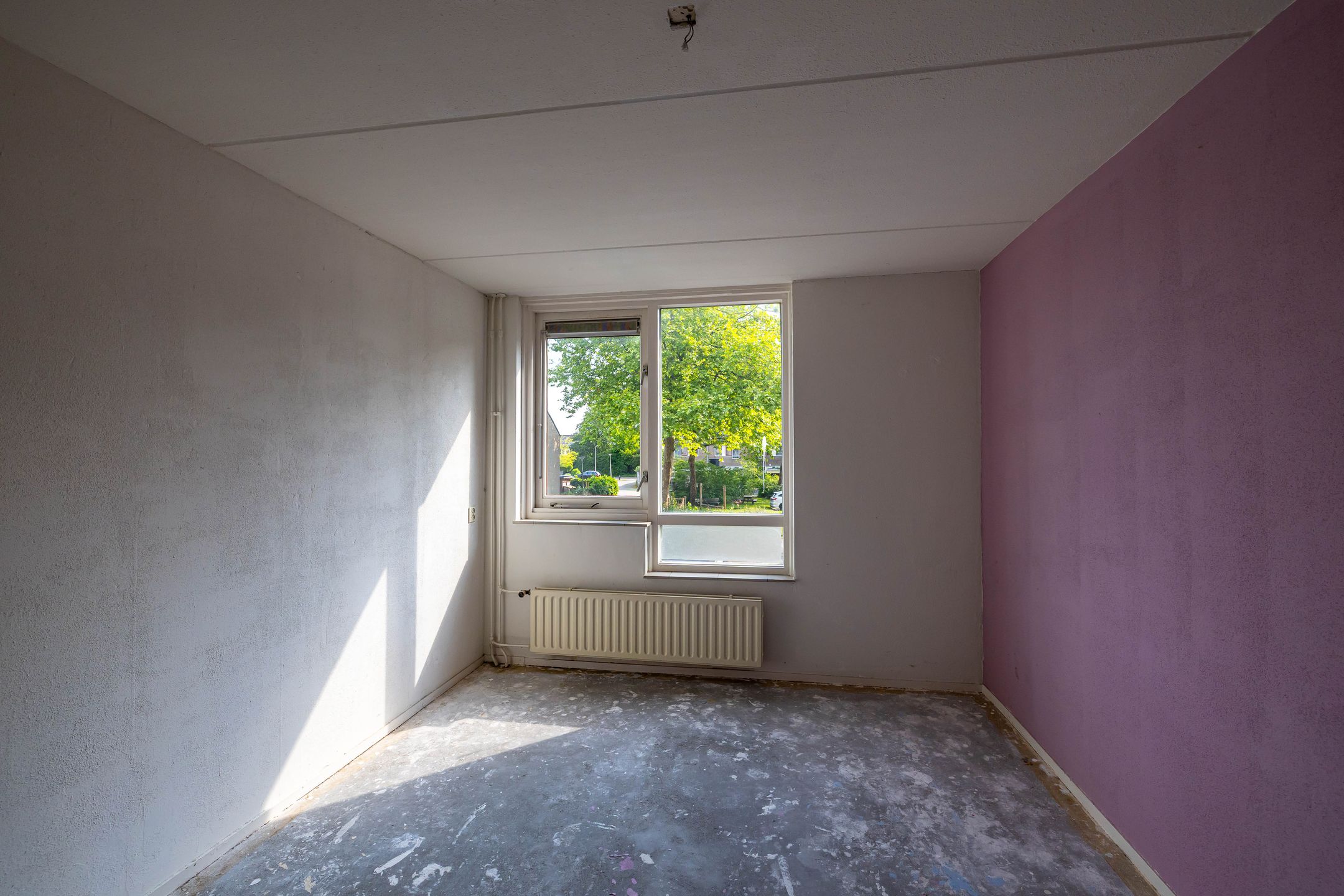 Photo 18 of Schieland 61