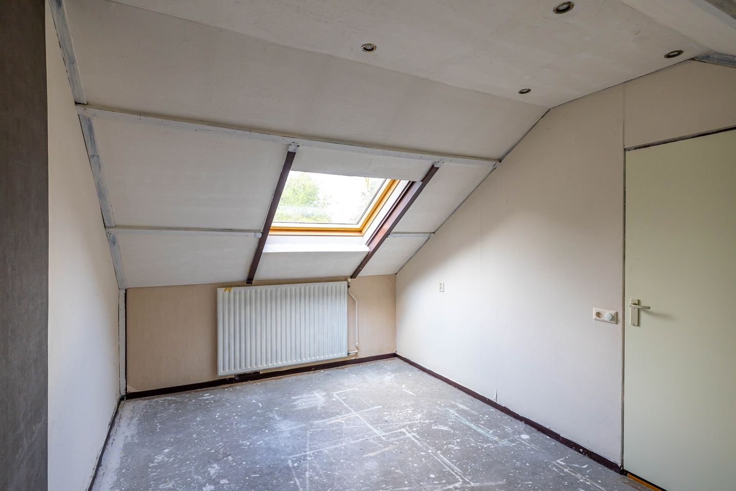 Photo 20 of Schieland 61