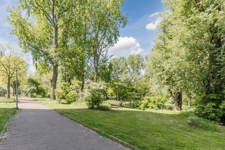 Foto 4 van Nijenburg 3