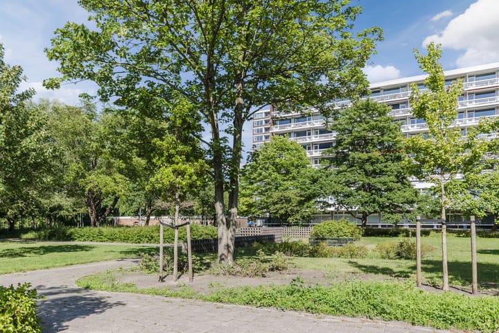 Foto 18 van Nijenburg 3