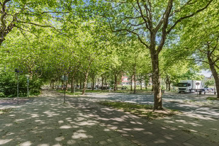 Foto 19 van Nijenburg 3