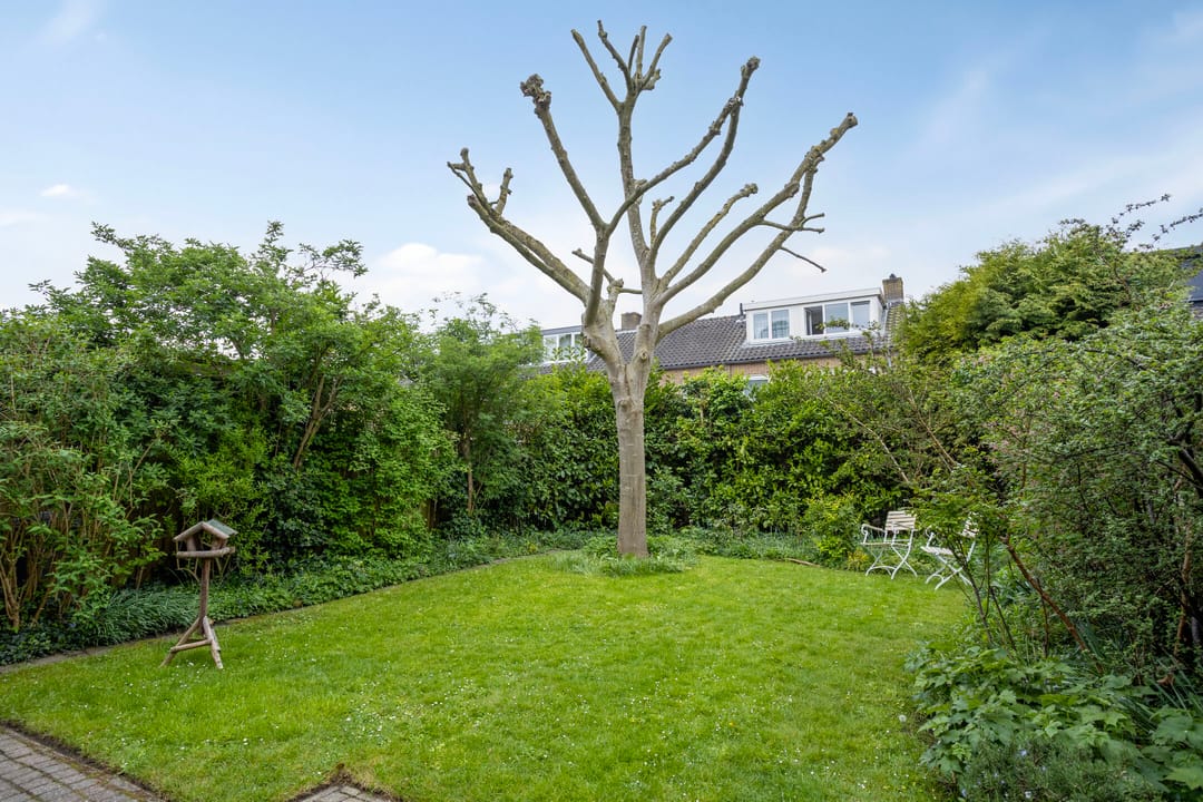 Foto 38 van Burgemeester Van Altenastraat 20