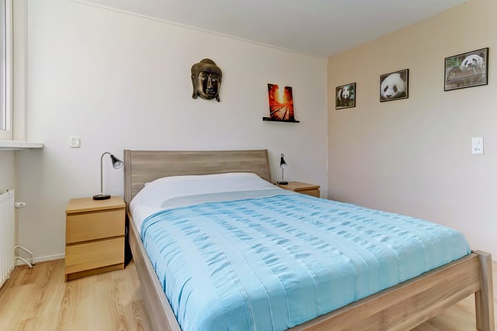 Foto 12 van Elzendreef 12