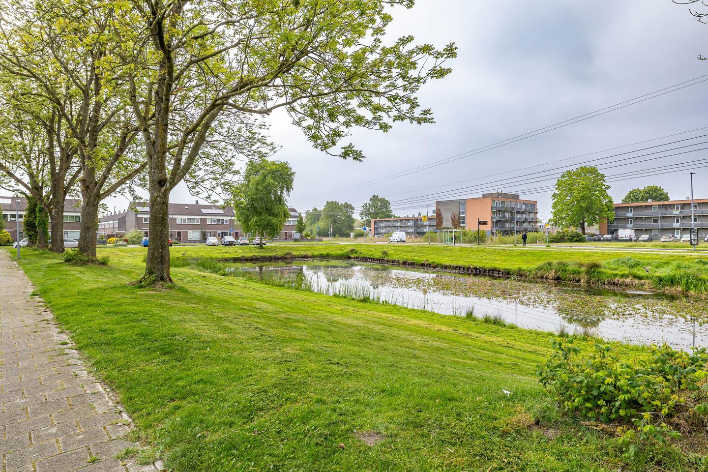 Foto 19 van Schaepmanstraat 60