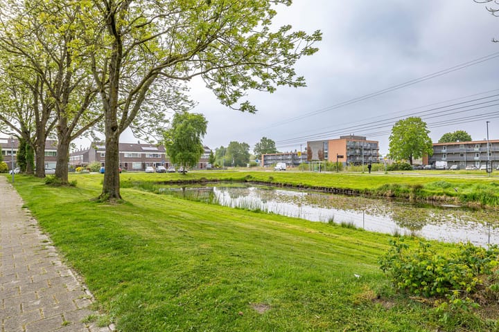 Foto 19 van Schaepmanstraat 60