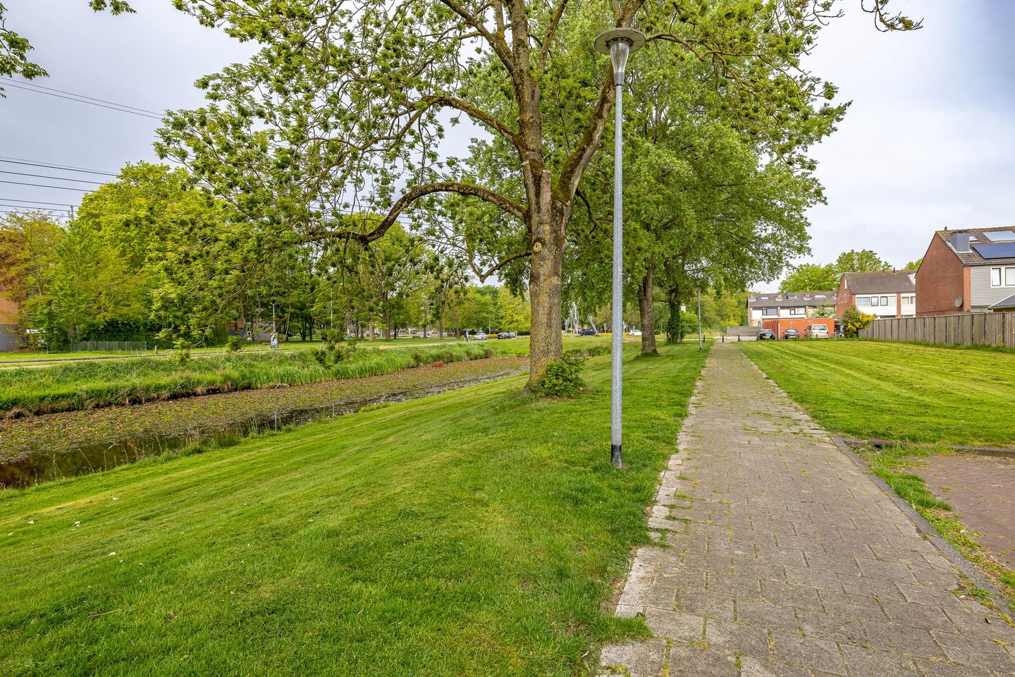 Foto 20 van Schaepmanstraat 60