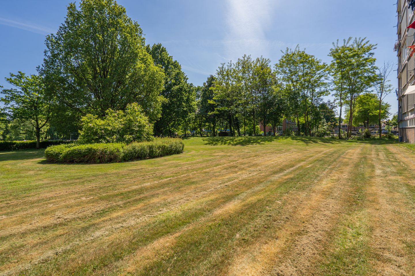 Foto 40 van Maria in Campislaan 203