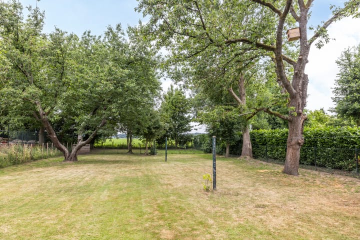 Foto 35 van Hommerter Allee 84