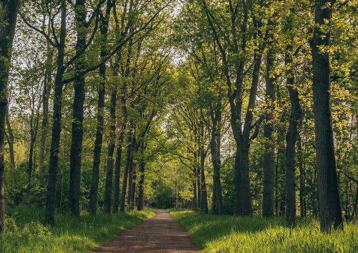 Foto 10 van Raaphorstlaan 19-E