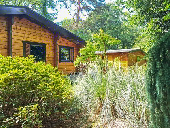 Foto 21 van De Stille Wille 167