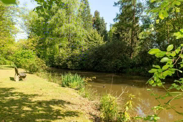 Foto 34 van De Stille Wille 167