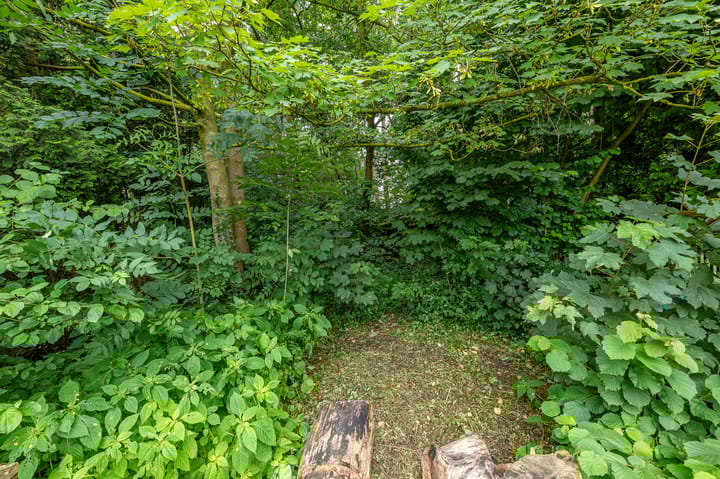 Foto 7 van Meesterslaan 12