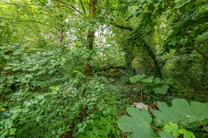 Foto 8 van Meesterslaan 12