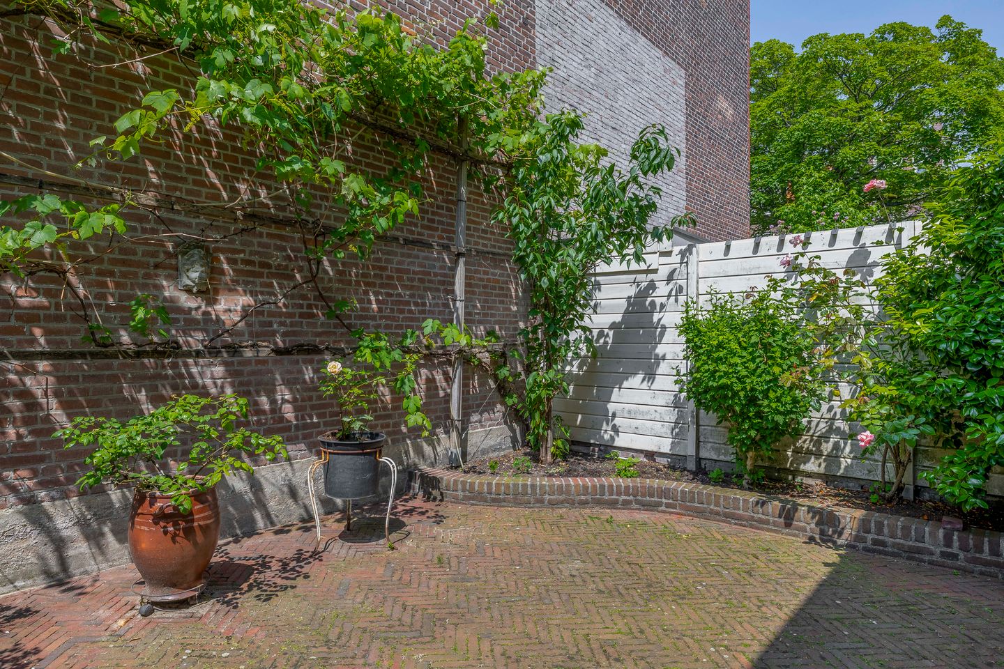 Foto 25 van Alexanderlaan 7