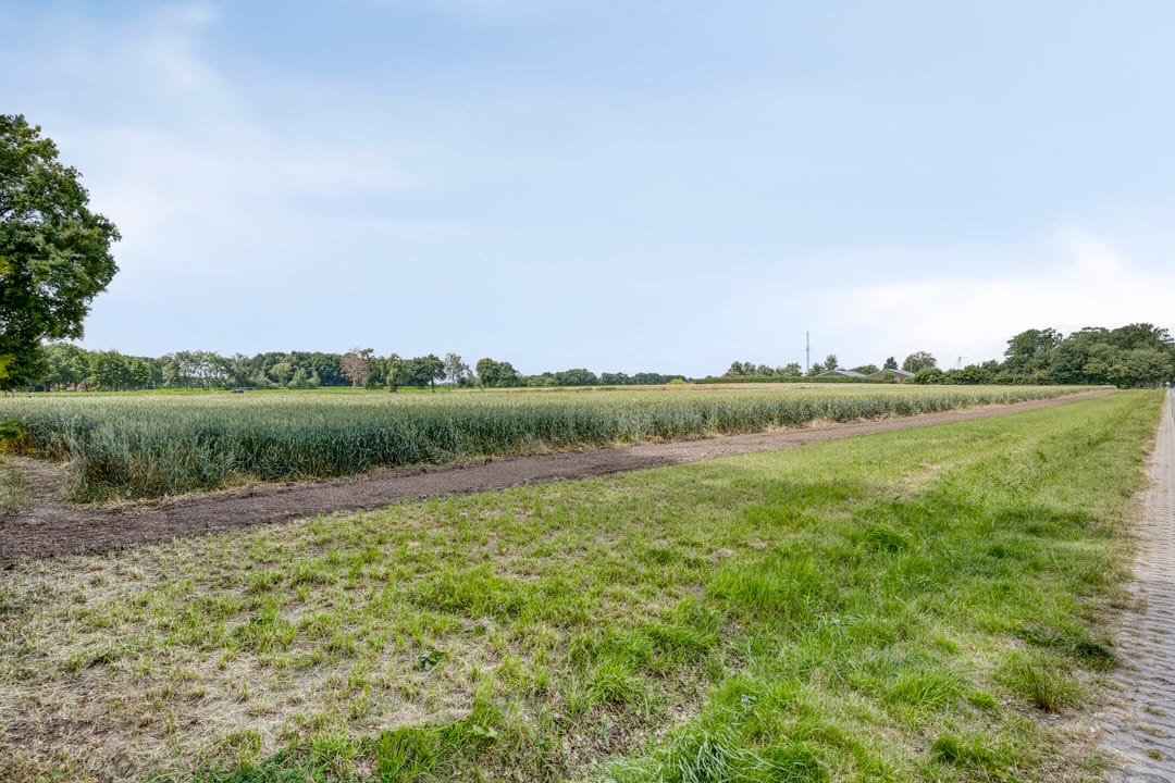 Foto 41 van Goorsestraat 209