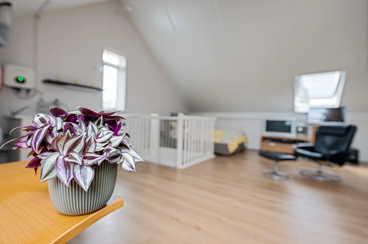 Foto 29 van Prinsenboslaan 5