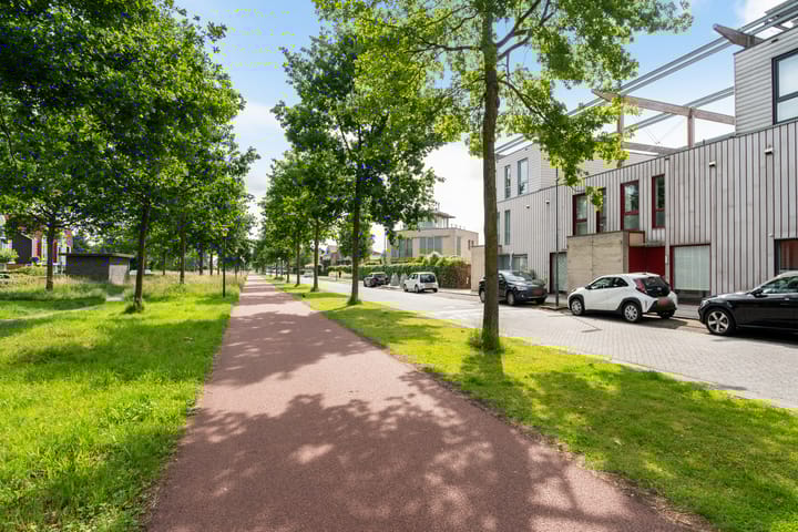 Foto 72 van Moldaustroom 39