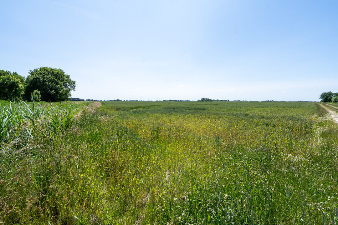 Photo 53 of Maarweg 30