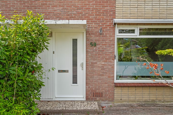 Foto 7 van Pallasstraat 58