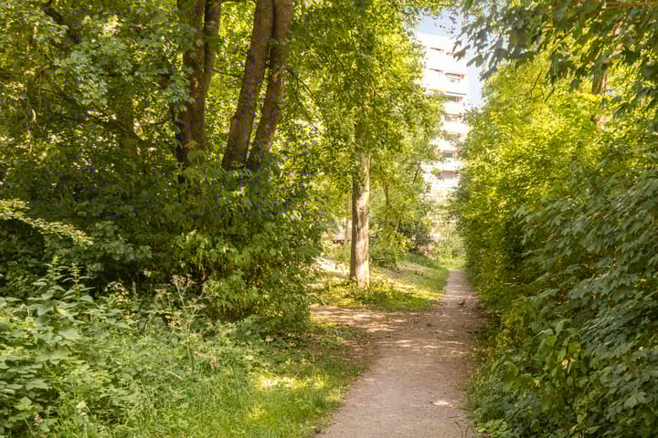 Foto 24 van Groningensingel 559