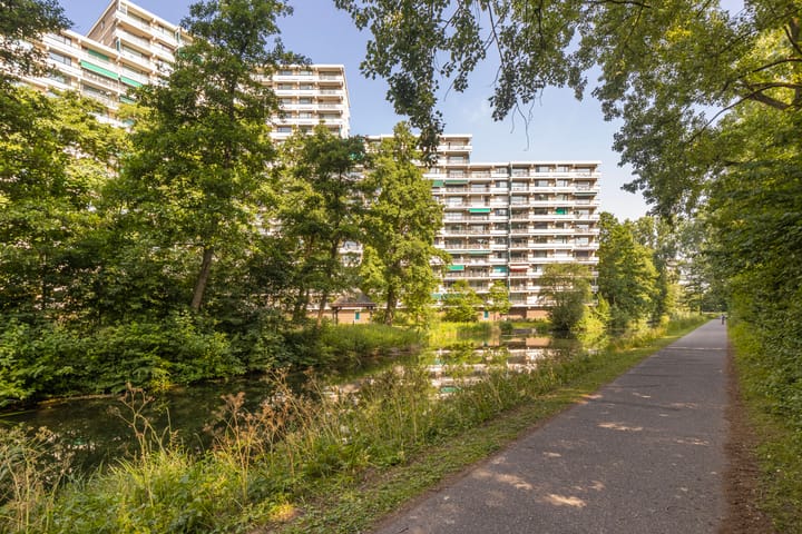 Foto 26 van Groningensingel 559