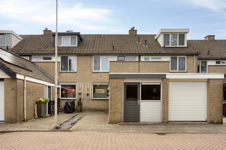 undefined main image