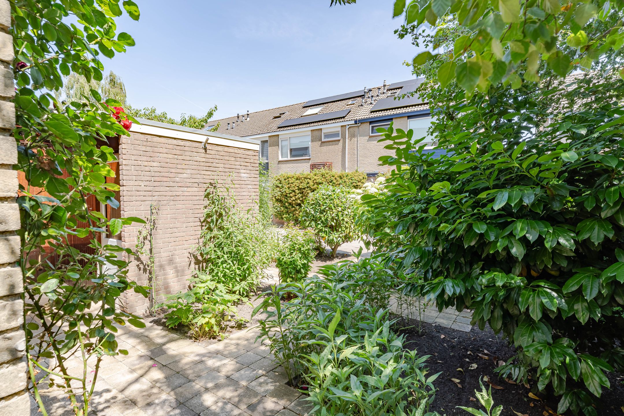 Photo 3 of Mondriaanplantsoen 17