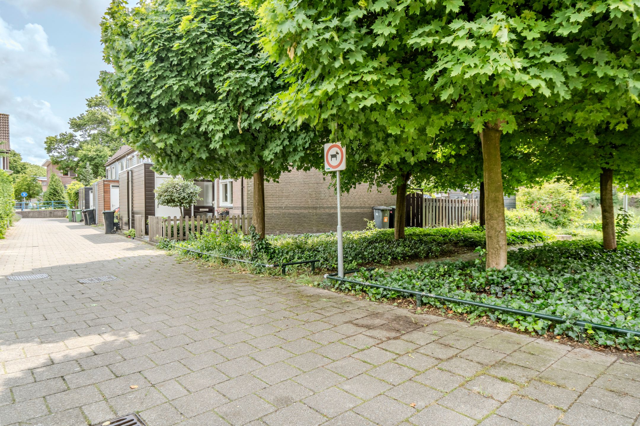 Photo 63 of Dom Helder Camarastraat 1