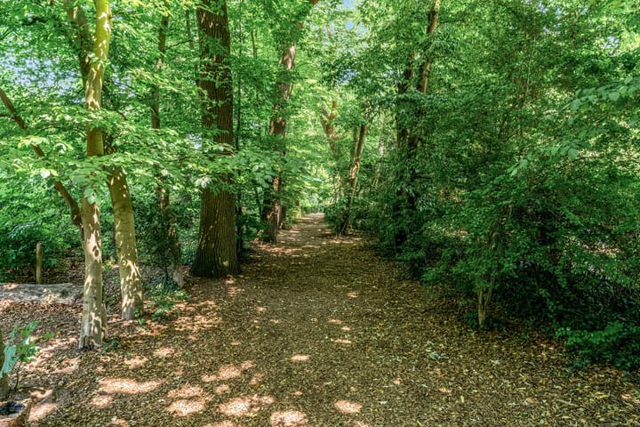 Foto 51 van Stolberglaan 41