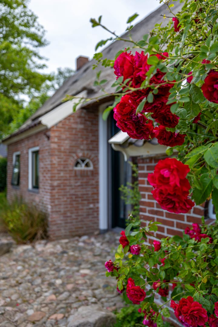 Foto 7 van Kloosterstraat 9