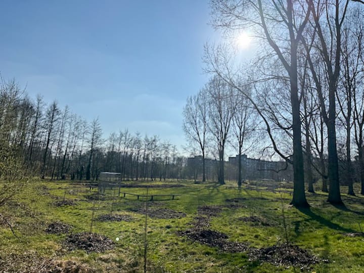 Foto 40 van Kempenlandstraat 25