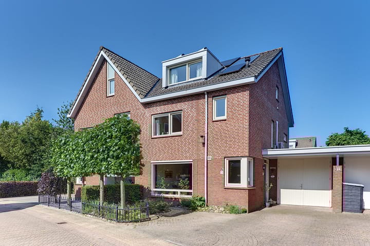 undefined main image