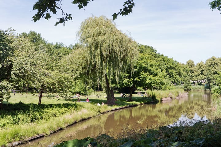 Foto 16 van Hoofdweg 378-H