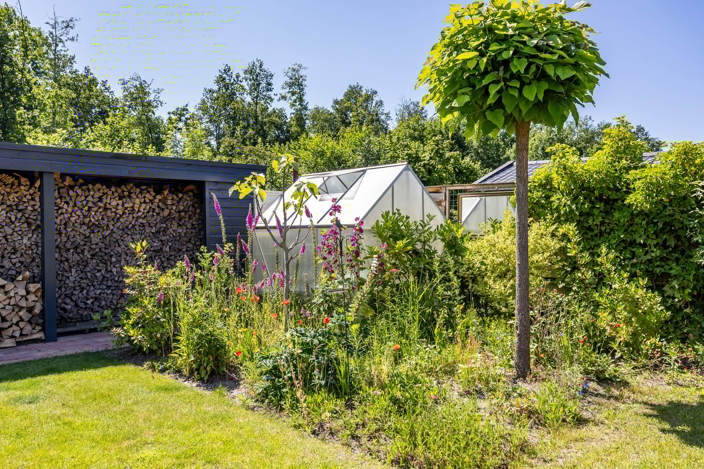 Foto 34 van H. Goeman Borgesiusstr 36