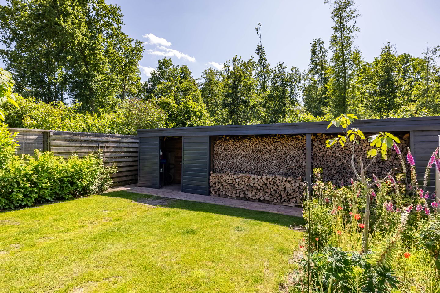 Foto 35 van H. Goeman Borgesiusstr 36