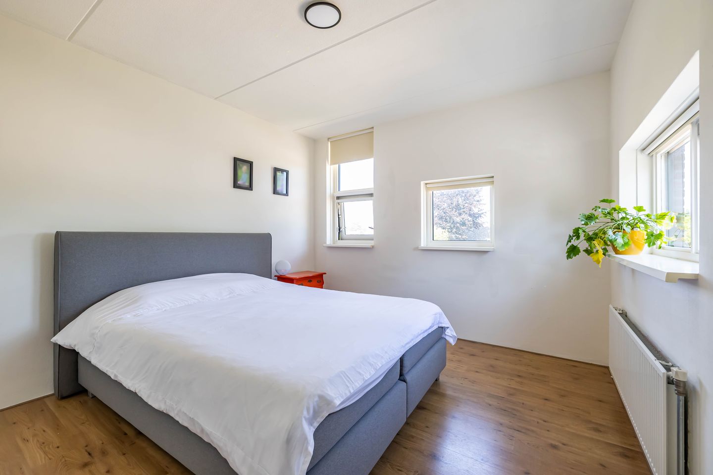 Foto 50 van H. Goeman Borgesiusstr 36