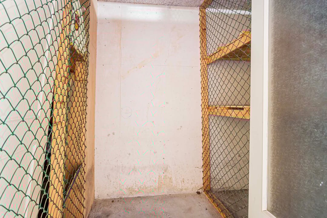 Foto 23 van Suze Groenewegstraat 30