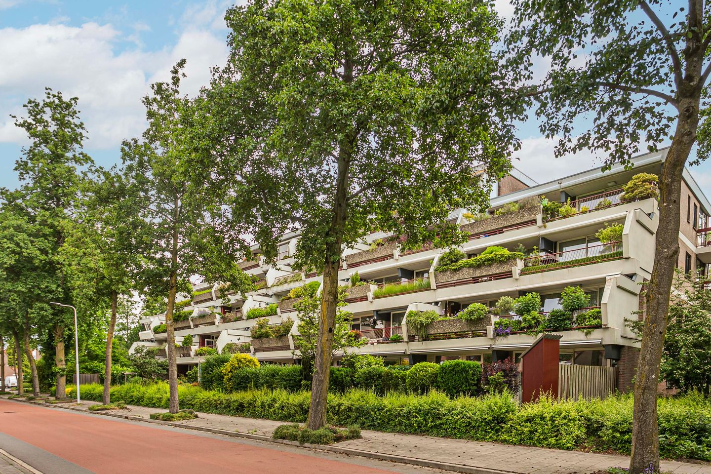 Foto 1 van Bijsterveld 36