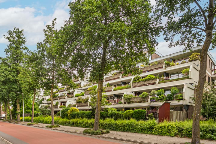 Foto 1 van Bijsterveld 36