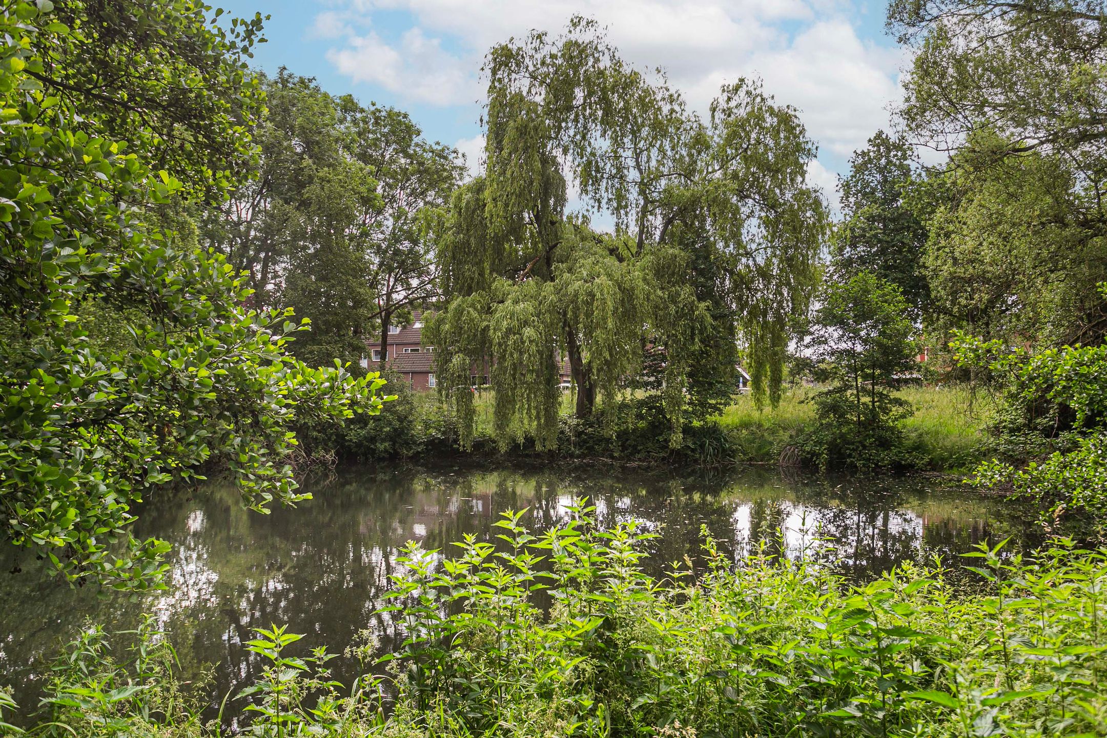 Photo 24 of Bijsterveld 36