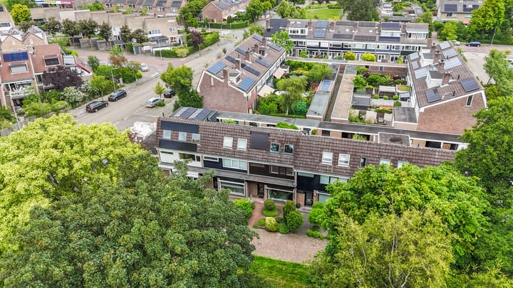 Foto 45 van Hoornbloem 20